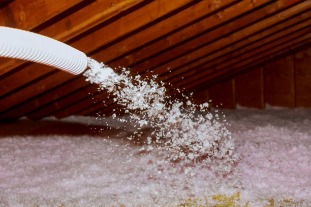 Best Local Insulation Services  in Locust Grove, GA