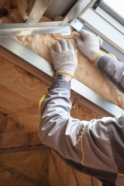 Best Cellulose Insulation  in Locust Grove, GA