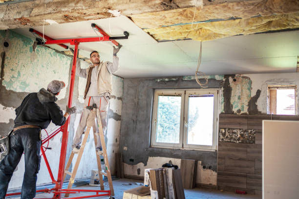 Best Spray Foam Insulation  in Locust Grove, GA
