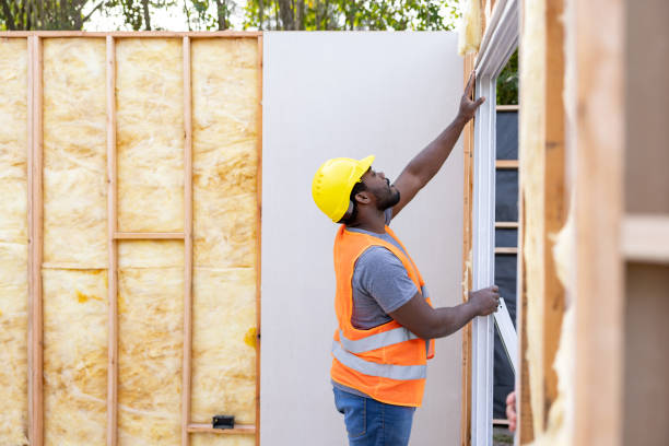 Best Insulation Repair Services  in Locust Grove, GA