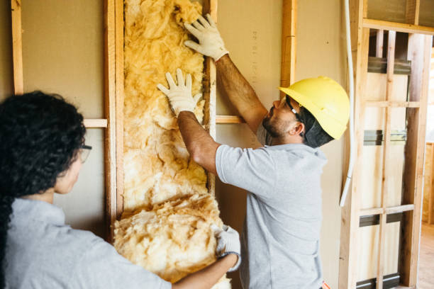 Best Spray Foam Insulation  in Locust Grove, GA