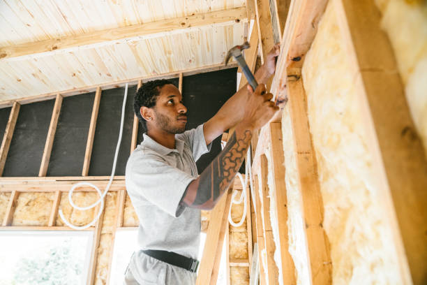 Best Blown-in Insulation  in Locust Grove, GA