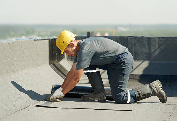 Insulation Replacement Services in Locust Grove, GA