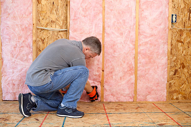 Best Crawl Space Insulation  in Locust Grove, GA