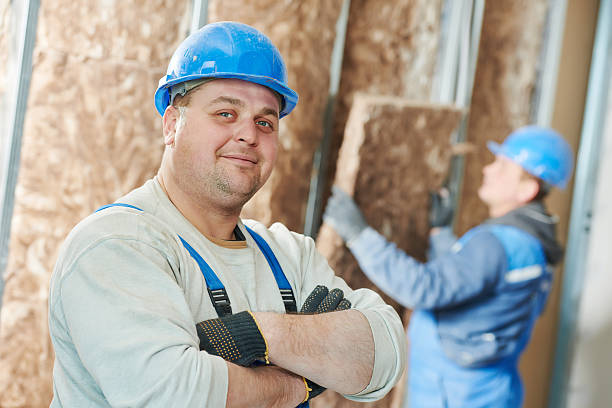 Best Insulation Removal  in Locust Grove, GA