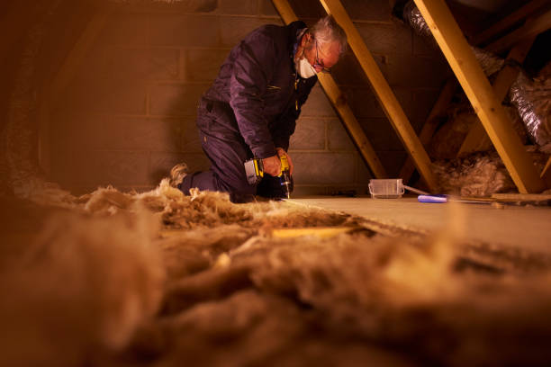 Best Wall Insulation Contractor  in Locust Grove, GA